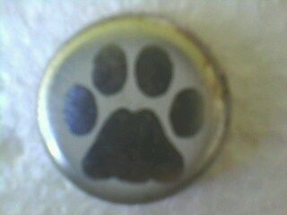 WILDCAT
