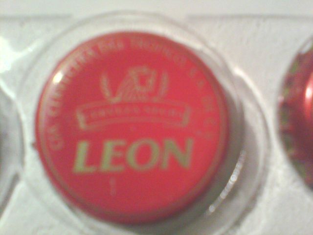 LEON GRUPO MODELO